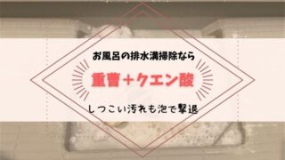 お風呂　排水溝　重曹だけ