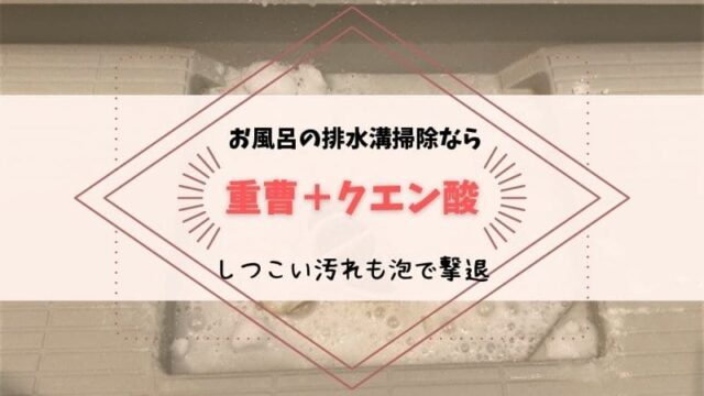 お風呂　排水溝　重曹だけ