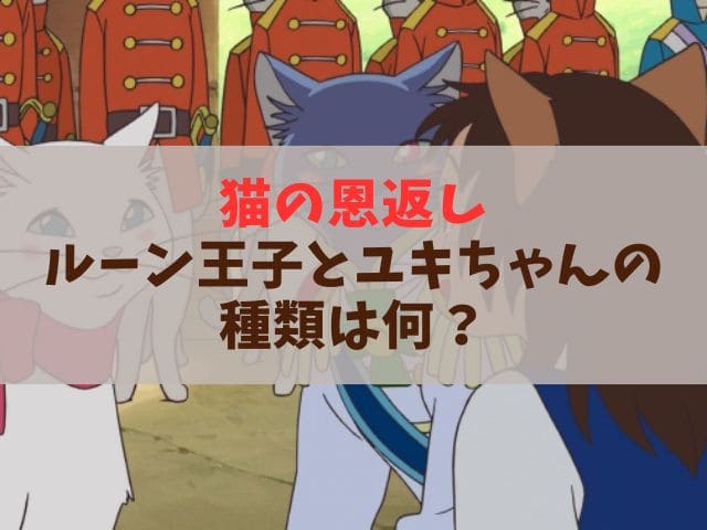 猫の恩返しルーン王子とユキちゃんの種類は何？猫キャラクターの声優陣も紹介