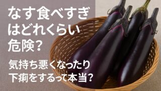 なす食べ過ぎはどれくらい危険？気持ち悪くなったり下痢をするって本当？