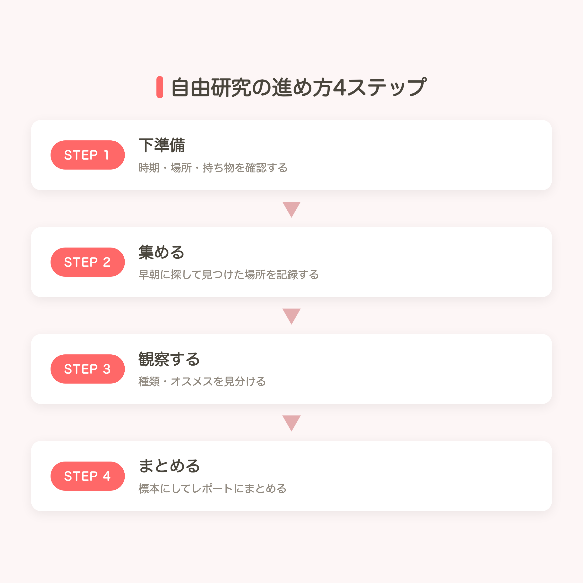 自由研究の進め方4ステップ（下準備・集める・観察する・まとめる）