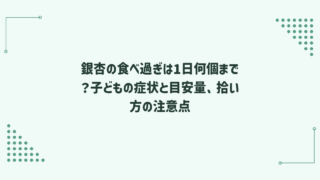 銀杏の食べ過ぎは1日何個まで？子どもの症状と目安量、拾い方の注意点
