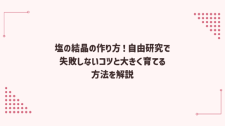 塩の結晶の作り方！自由研究で失敗しないコツと大きく育てる方法を解説