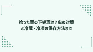 拾った栗の下処理は？虫の対策と冷蔵・冷凍の保存方法まで