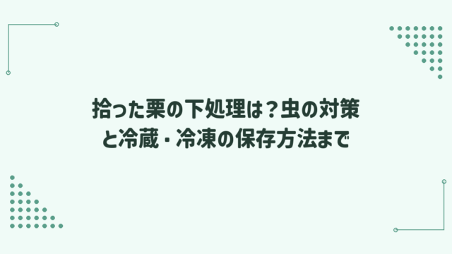 拾った栗の下処理は？虫の対策と冷蔵・冷凍の保存方法まで
