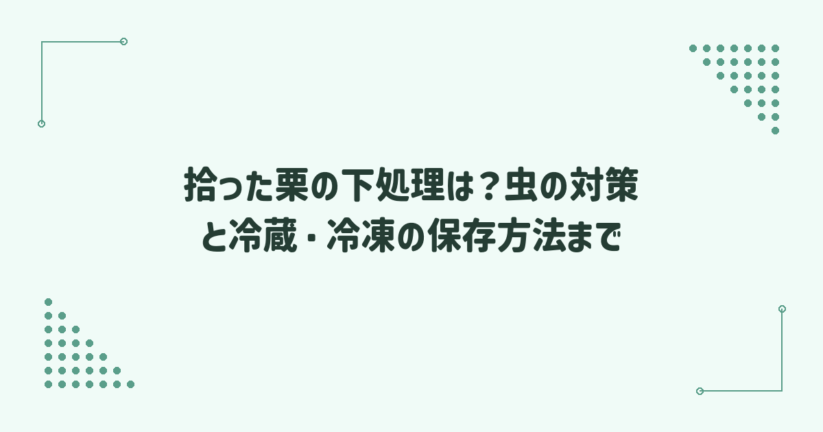 拾った栗の下処理は？虫の対策と冷蔵・冷凍の保存方法まで
